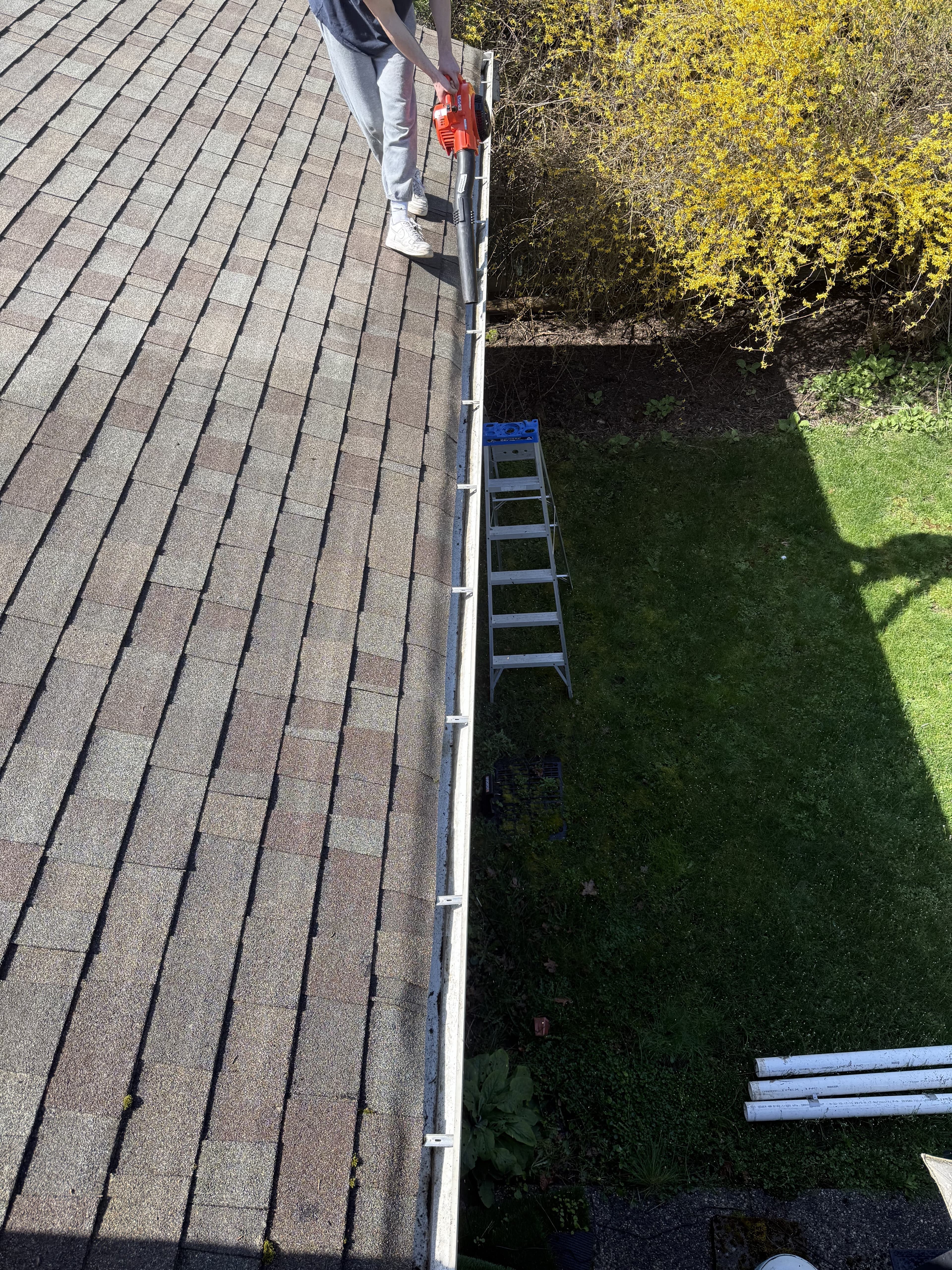 Clean gutters after our service