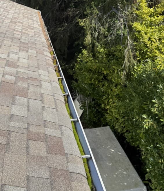 Dirty gutters before cleaning